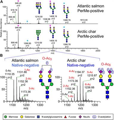 Serum N-Glycome Diversity in Teleost and Chondrostrean Fishes